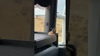 Танцуют все