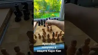 #шахматы #шортс