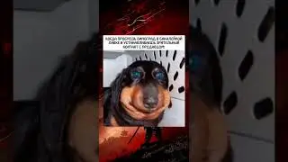 о да
