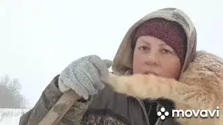 Дела хозяйственные. Минус телка. Плюс снега по колено.