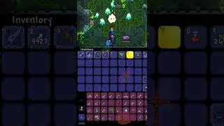 How to have a BACKPACK in terraria! 