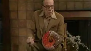 Torus and Space-Time - Arthur Young
