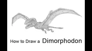 How to Draw a Dimorphodon from Jurassic World
