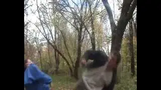 новый