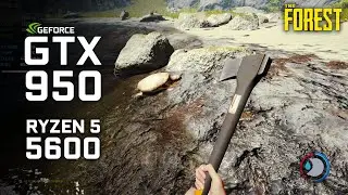 The Forest : GTX 950 | Ryzen 5 5600