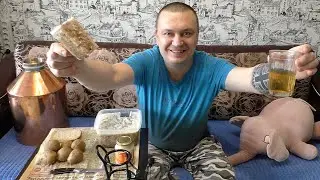 Русский холодец с хреном. Закусон под самогон.