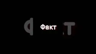 факт майнкрафт