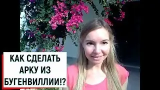 КАК СДЕЛАТЬ АРКУ ИЗ БУГЕНВИЛЛИИ ?!