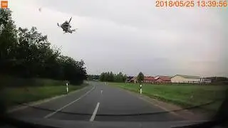 Galamb találkozása az autóval / Susret goluba sa autom