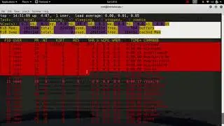 6.1 Monitor Linux Process  - USING TOP (Display Linux process)