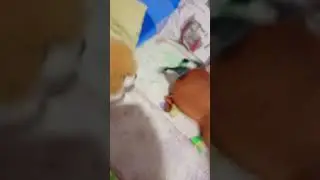 когда делаешь уроки с мамой 