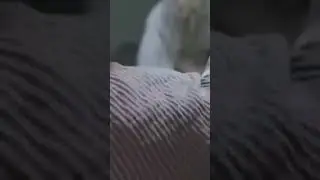 пахан