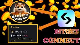 200 Million Users Duped? The Dark Side of Hamster Combat's Explosive Growth!