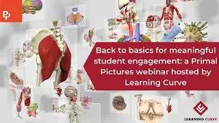 Back to basics using Primal Pictures for engaging lesson: Staff webinar