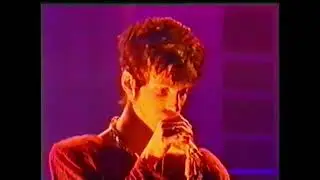 Prince & The NPG - Acknowledge Me - French TV Show - 1994