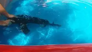 Can an AK shoot underwater? Blank-firing AK! Test!
