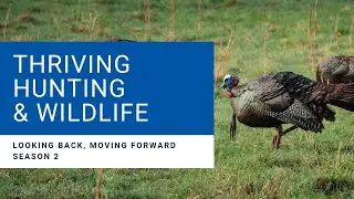 Looking Back, Moving Forward: Thriving Hunting & Wildlife