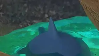 Blender model and animation