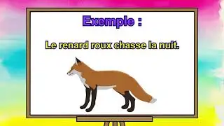The subject group of the verb. GRAMMAR EXPRESS. CE2 level. (corrected version).