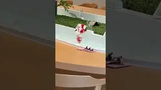 Creative way of serving