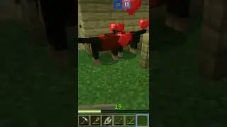 #майн