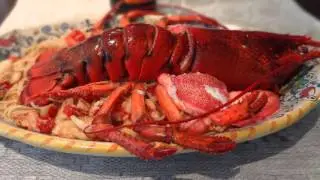 my Culinary Creations - какие блюда приготовить, если гости застали вас врасплох