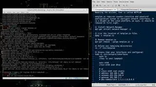 Tutorial: How to Remove the NETPLAN Abomination on Linux