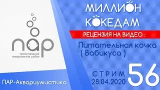 #МИЛЛИОНКОКЕДАМ-56 Рецензия: Питательная кочка ( Вабикуса )
