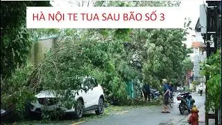 HÀ NỘI NGỔN NGANG SAU QUẦN THẢO CỦA BÃO SỐ 3