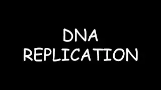 DNA Replication but its a stop motion video