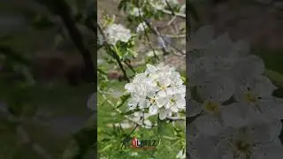 Andaç köyümüzün güzelliği