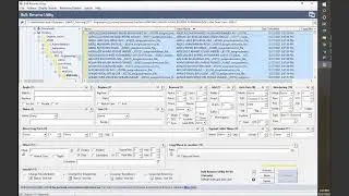 Organize and rename files in multiple subfolder