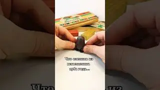 Что слепить из пластилина 1981 года? Пластилин из прошлого СССР 
