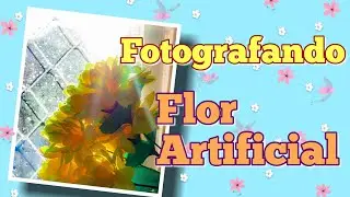 Quarentena 22 - Fotografando Flor Artificial