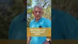 Где создается окружающий мир? Что создает иллюзию мира?