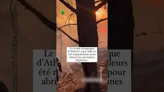 Terrible ironie   alors que les Jeux Olympiques de Paris touchent à leur fin… les autorités grecques