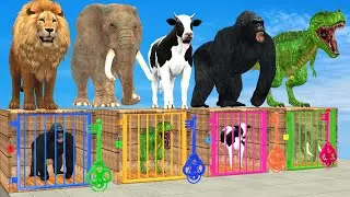 Wild Animals Max Level Long Legs Cow Elephant Gorilla T-Rex Choose The Right Key ESCAPE ROOM CHALLEN