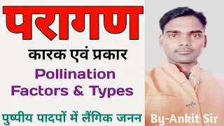 परागण | Pollination & it's Types | पुष्पीय पादपों में लैंगिक जनन | 12th Biology By Ankit Sir |
