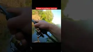 Голавль на Крэнк р.Алатырь Починковский район.