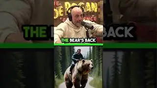Joe Rogan Scariest Bear Story 