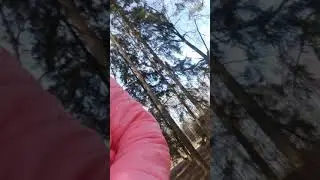 в парке в павлоске.