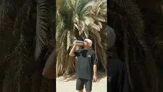 When all you need is literally an ALL-PURPOSE Bottle