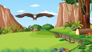 Bird Flying Animation in After Effects | After effects Tutorial #aftereffects #flyingbird