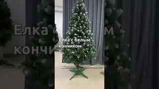 елка с белым кончиком