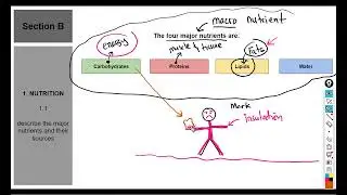 CSEC HSB   Nutrition Part 1