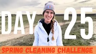 DAY 25 - Spring Cleaning CHALLENGE