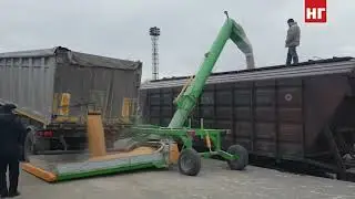 Подозреваемых в «сером» импорте зерна из России в Узбекистан выявили в Костанайской области