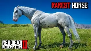 All 15 Rare Horse Locations - RDR 2