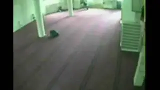 Смерть в суджуде  Аллаху Акбар!