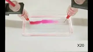 Thermal Welding of Liquids